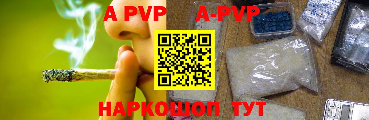 A PVP СК КРИС Солнечногорск