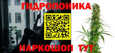 молекула духа Ярославль